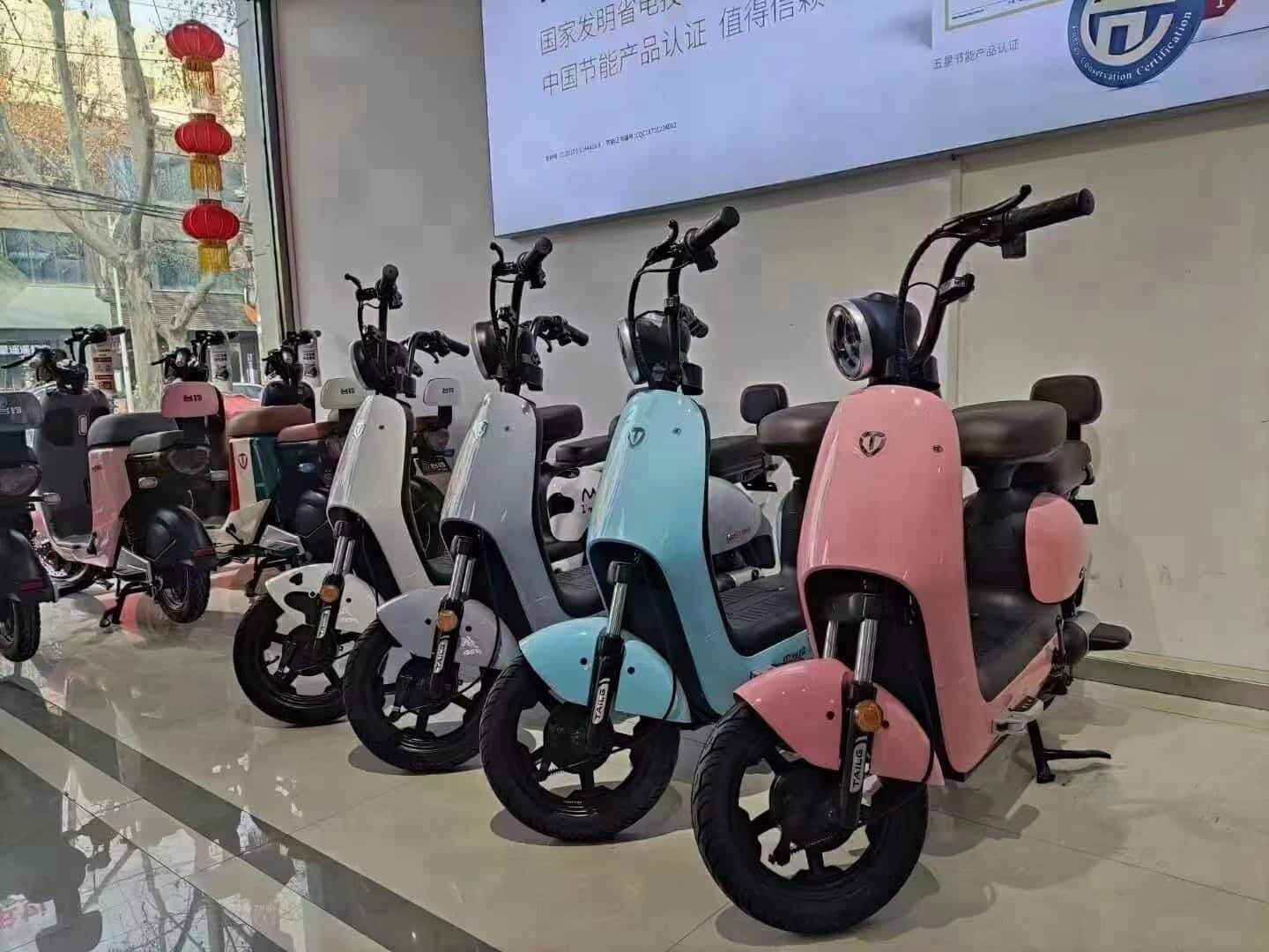E-BIKE ME MODEL TDT1244Z